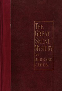 Cover of The great Skene mystery
