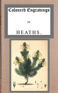Cover of Coloured engravings of heaths; vol. 3