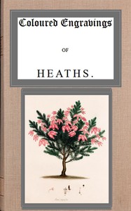 Cover of Coloured engravings of heaths; vol. 4