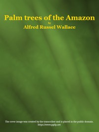 Cover of Palm trees of the Amazon and their uses