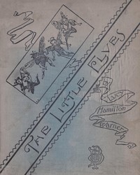 Cover of The little elves seeking the beautiful world