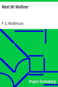 Cover of Meet Mr Mulliner