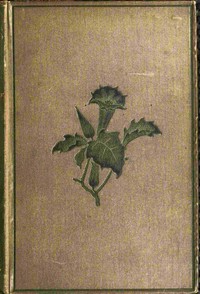 Cover of Torwood's trust