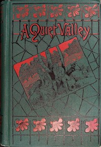 Cover of A quiet valley