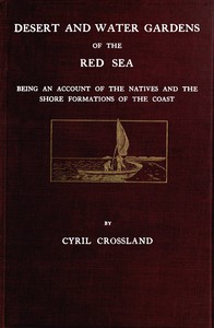 Cover of Desert and water gardens of the Red Sea