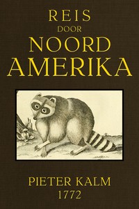 Reis door Noord Amerika