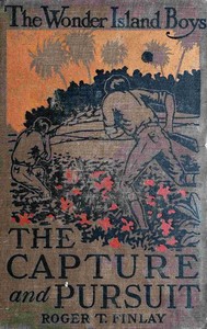 Cover of The Wonder Island boys