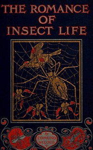 Cover of The romance of insect life