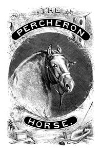 Cover of The Percheron horse