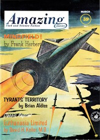 Cover of The wizard of light