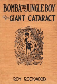 Bomba the jungle boy at the giant cataract