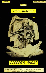 Cover of The true history of the ghost