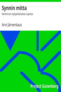 Cover of Synnin mitta