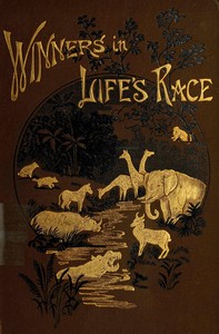 Cover of The winners in life's race