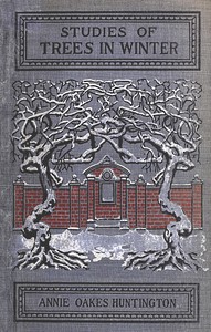Cover of Studies of trees in winter