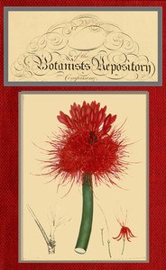 The botanist's repository for new and rare plants; vol. 05 [of 10]