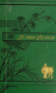 Cover of In the brush