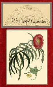 The botanist's repository for new and rare plants; vol. 08 [of 10]