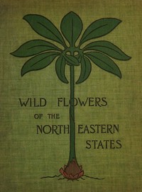 Cover of Wild flowers of the north-eastern states
