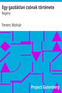 Cover of Egy gazdátlan csónak története