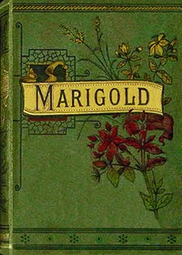 Cover of Marigold's decision