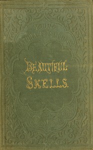 Cover of Beautiful shells