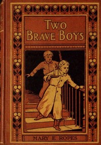 Two brave boys, and, The wrong twin