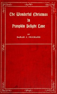 Cover of The wonderful Christmas in Pumpkin Delight Lane