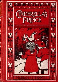 Cover of Cinderella's prince