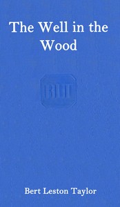 Cover of The well in the wood