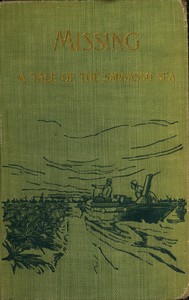 Cover of "In Sargasso." Missing, a romance