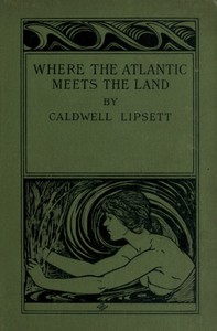 Cover of Where the Atlantic meets the land
