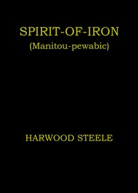 Cover of Spirit-of-iron (Manitou-pewabic)