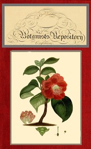 Cover of The botanist's repository for new and rare plants; vol. 09 [of 10]